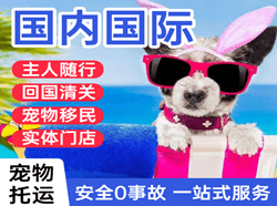 丽江三义航空物流国际宠物托运 【国